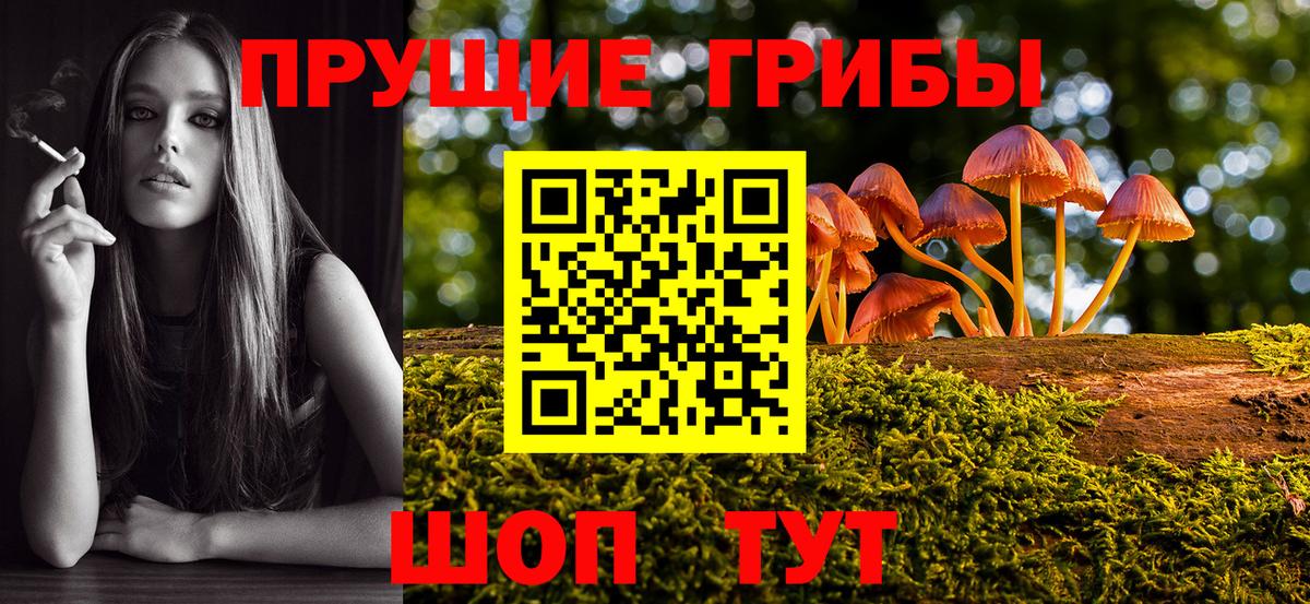 Галлюциногенные грибы Psilocybine cubensis Минеральные Воды