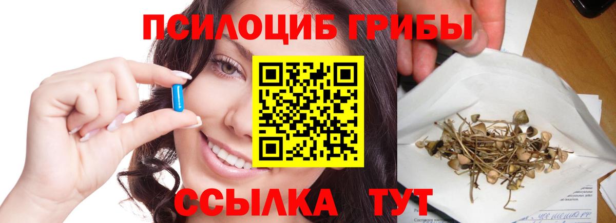 Минеральные Воды  Псилоцибиновые грибы Psilocybine cubensis  Вход с VPN 